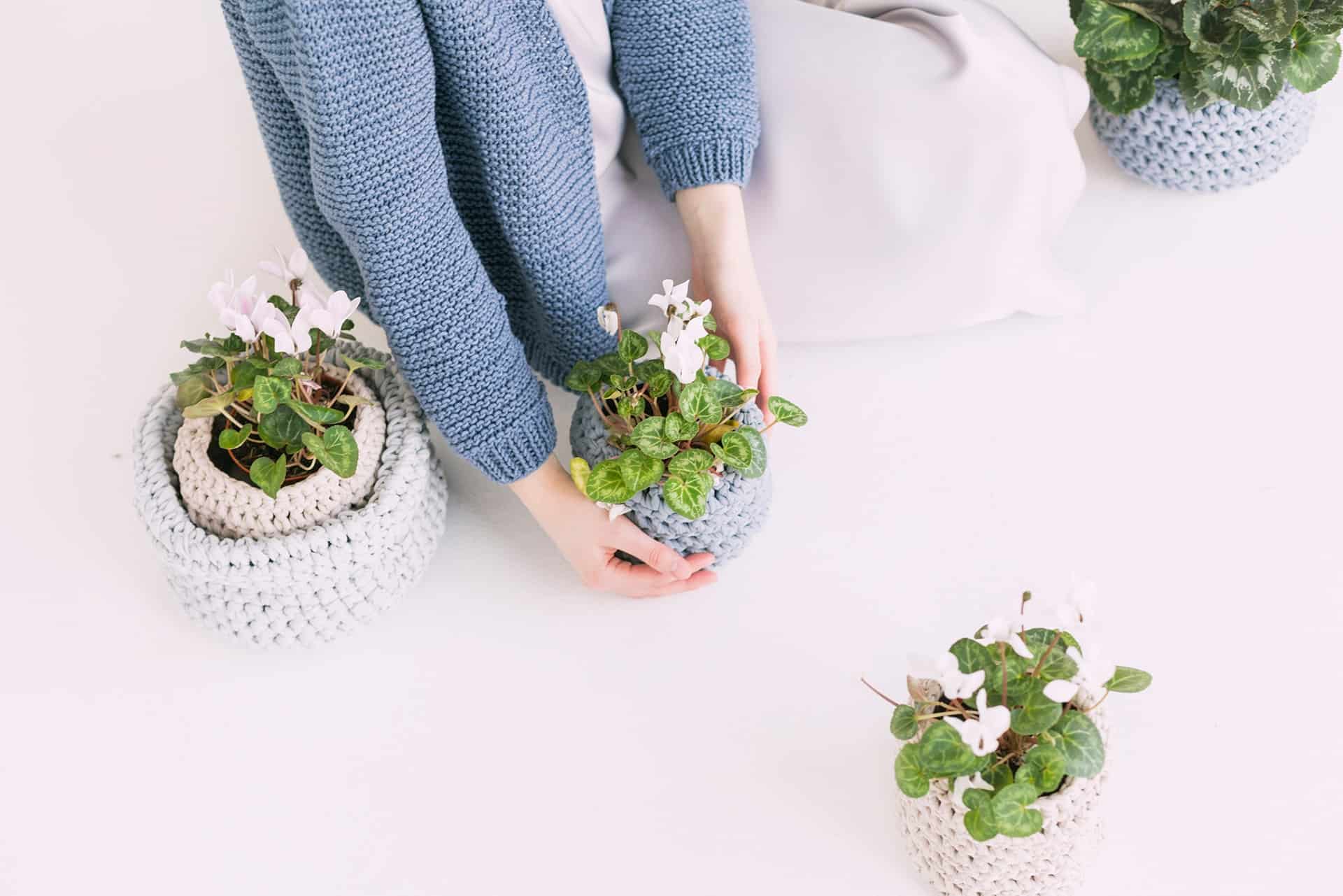 pexels daria shevtsova 709785