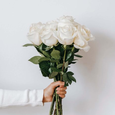 pexels teona swift 6913829 2