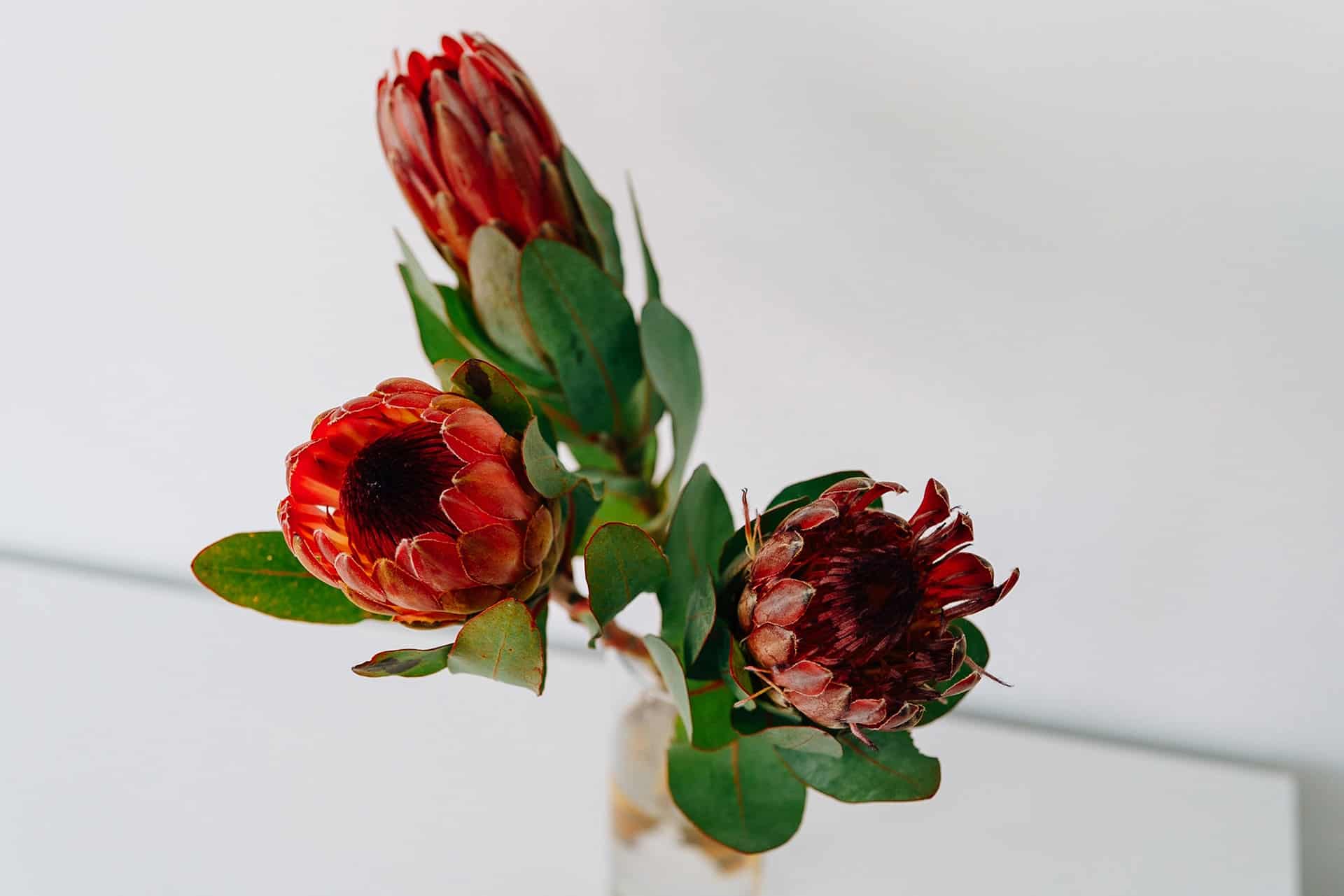 pexels алекке блажин 11244764