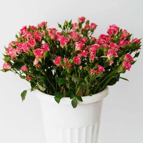 pexels алекке блажин 11244832